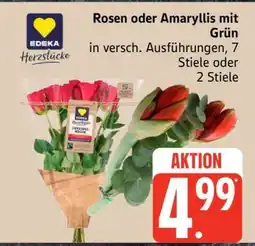 Edeka Rosen oder Amaryllis mit Grün Angebot
