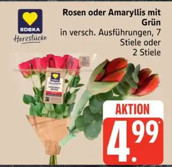 Edeka Rosen oder Amaryllis mit Grün Angebot