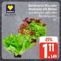 Edeka Ballensalat Mix oder Kopfsalat mit Ballen Angebot