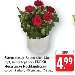 Edeka Rosen Angebot