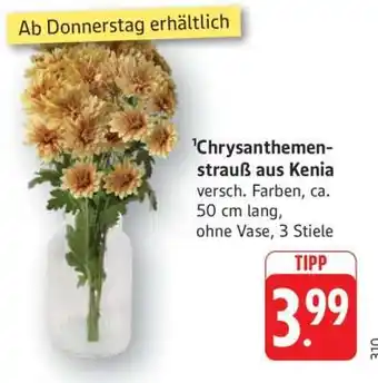 Edeka Chrysanthemenstrauß aus Kenia Angebot