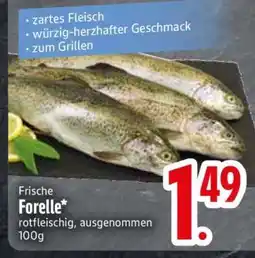 Edeka Frische Forelle Angebot