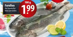 Famila Nord Ost Forellen Angebot
