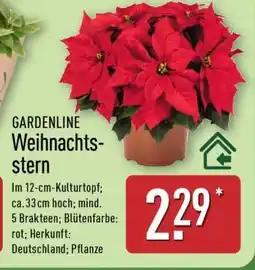 Aldi Nord GARDENLINE Weihnachtsstern Angebot