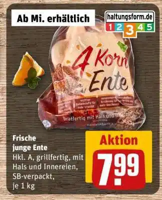 REWE Frische junge Ente Angebot