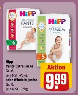 REWE Hipp Pants Extra Large oder Windeln Junior Angebot