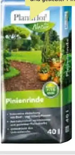 BayWa Plantiflor Pinienrinde Angebot