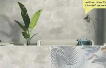 BayWa Feinsteinzeug Tropical Angebot