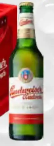 trinkgut Budweiser Budvar (CZ) Premium Lager Angebot