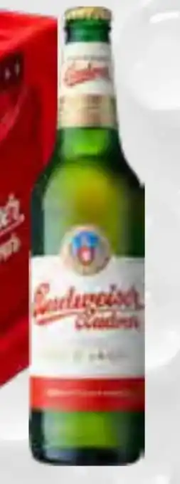 trinkgut Budweiser Budvar (CZ) Premium Lager Angebot
