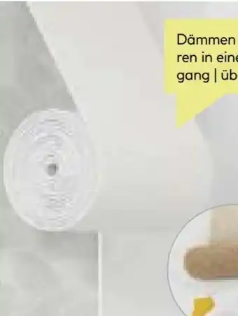 BayWa Dämmtapete EPS Angebot