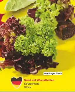 Netto Marken-Discount Salate mit Wurzelballen Angebot