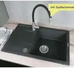 BayWa Deante Spülen-Set Corio Angebot