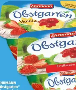 PENNY Ehrmann Obstgarten Erdbeere Angebot