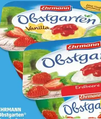 PENNY Ehrmann Obstgarten Erdbeere Angebot