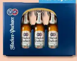 PENNY Hacker-Pschorr Münchner Hell Angebot