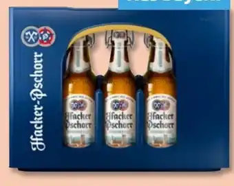 PENNY Hacker-Pschorr Münchner Hell Angebot