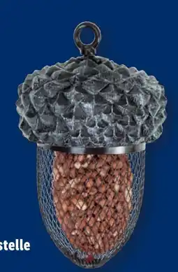 Lidl Futterstelle Eichel Angebot