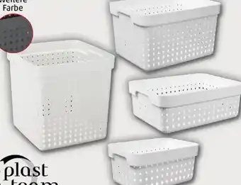 PENNY Plast-Team Regalaufbewahrungskörbe Seoul Angebot