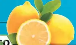 E-Center Bio-Zitronen Angebot