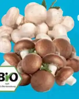 E-Center Bio-Champignons Angebot