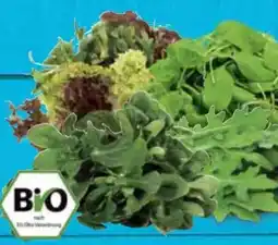 E-Center Bio-Salat Angebot