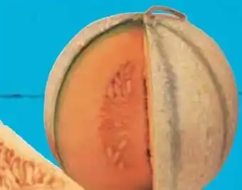 E-Center Cantaloupemelonen Angebot
