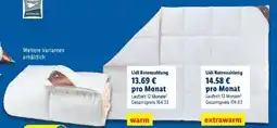 Lidl Häussling Daunen-Kassettenbettdecke Angebot