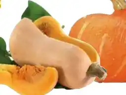 Edeka Speisekürbisse Hokkaido Angebot