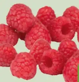 Edeka Xpress Driscoll's Himbeeren Angebot