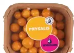 Edeka Physalis Angebot