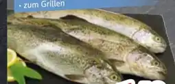 Edeka Forellen Angebot
