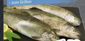 Edeka Forellen Angebot
