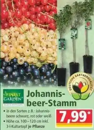 Norma Finest Garden Johannisbeer Stamm Angebot