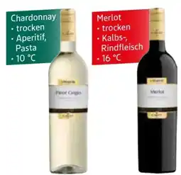 Edeka Cavit Pinot Grigio Angebot