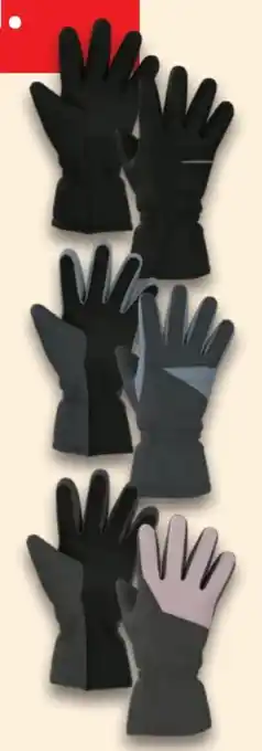 Lidl Esmara Damen Winter-Handschuhe Angebot
