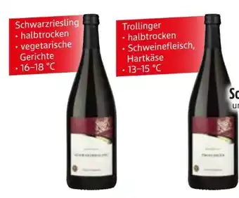 Edeka Mundelsheimer Schalkstein Trollinger Angebot