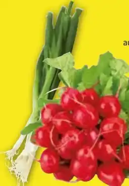 Edeka Radieschen Angebot