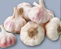 REWE Center Knoblauch Angebot