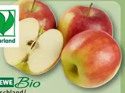 REWE Center Rewe Bio Tafeläpfel Angebot