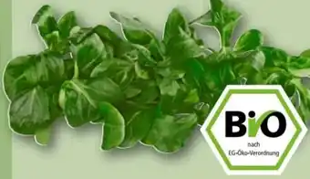 REWE Center Rewe Bio Feldsalat Angebot