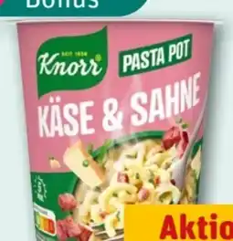 REWE Center Knorr Pasta Snack Pot Angebot