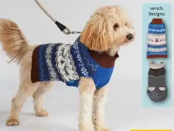 REWE Center ZooRoyal Hundejacke Angebot
