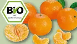 REWE Rewe Bio Clementinen Angebot