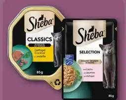 REWE Center Sheba Katzennahrung Angebot