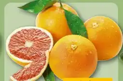 REWE Grapefruit Angebot