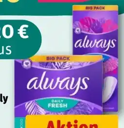 REWE Always Slipeinlagen Daily Protect Angebot