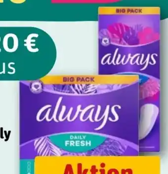 REWE Always Slipeinlagen Daily Protect Angebot
