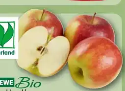 REWE Rewe Bio Tafeläpfel Angebot