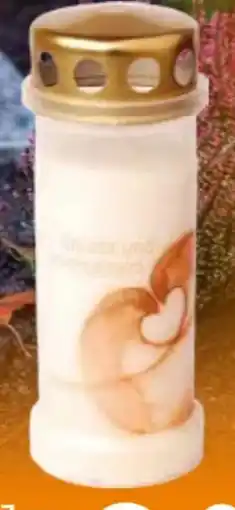 Globus Baumarkt Grablicht Angebot